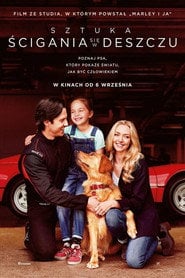 Sztuka ścigania się w deszczu eKino TV | Film Online