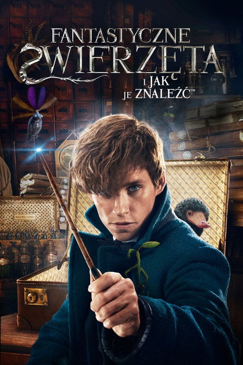 Fantastyczne zwierzęta i jak je znaleźć eKino TV | Film Online